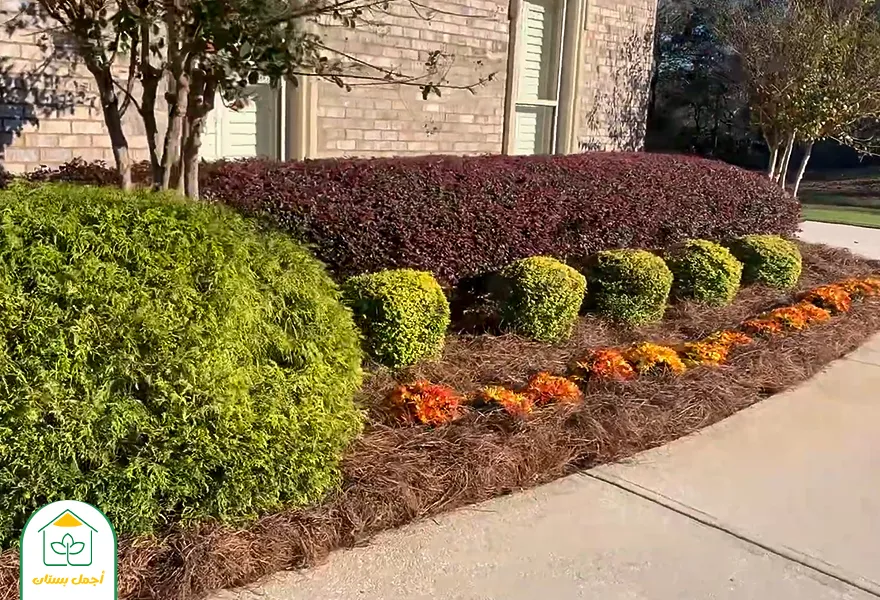 افكار حدائق منزلية بسيطة افكار حدائق منزلية بسيطة