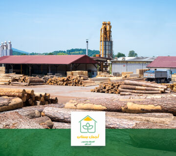 شركة قص شجر بالرياض