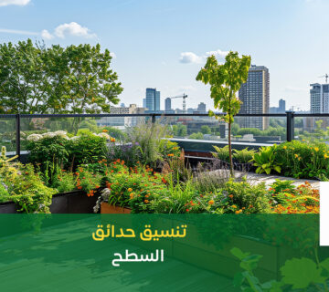 تنسيق حدائق السطح نجمة البستان