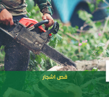 قص اشجار بالرياض